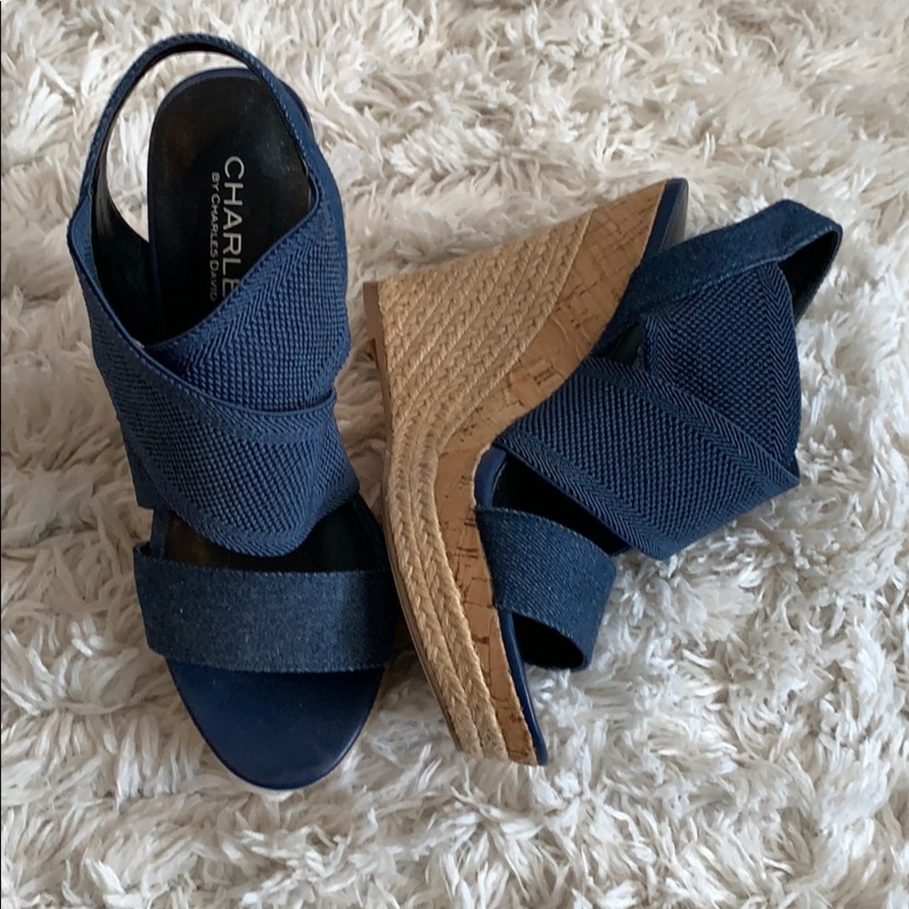 Charles David Blue Wedge Sandal
